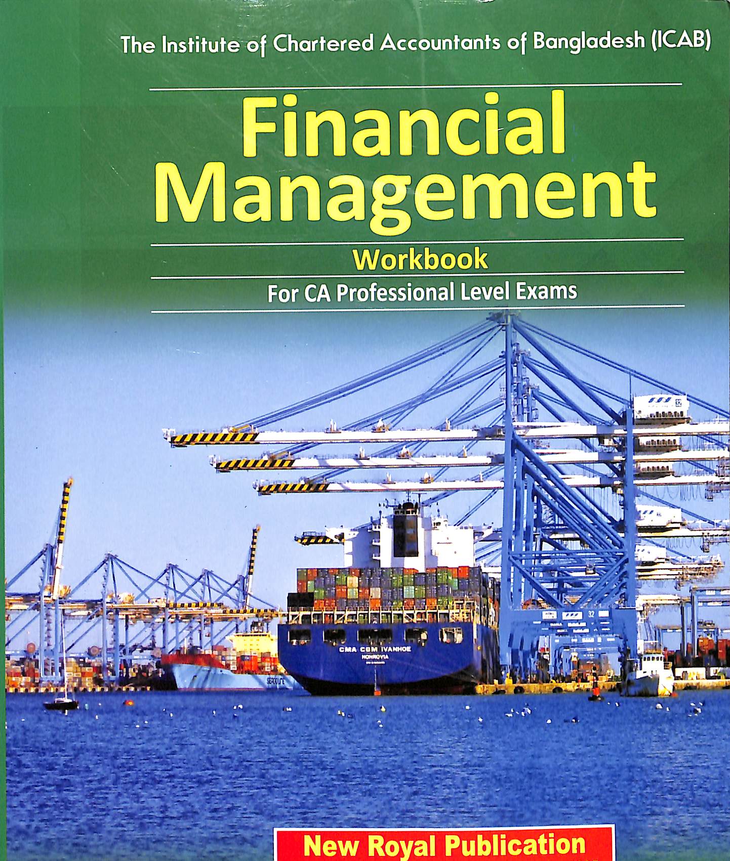 Financial Management (CA Professional Level Workbook)